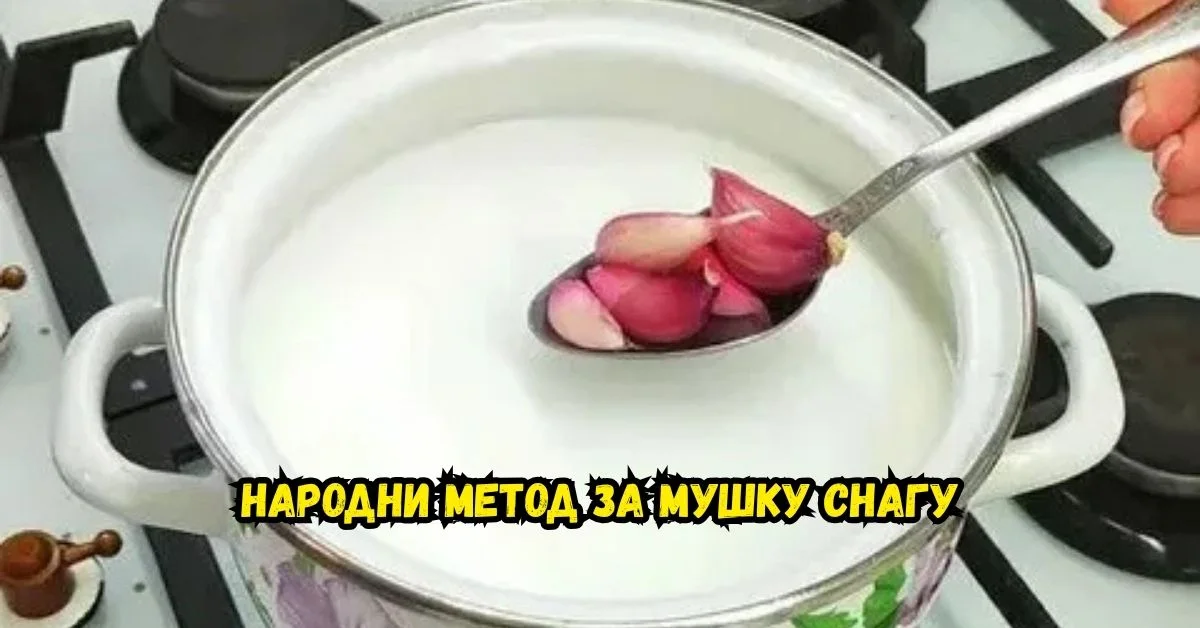 Иван Петровић